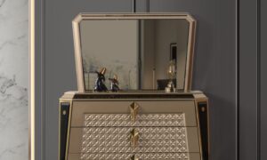 Diamond Dresser