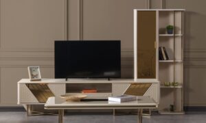 Mustang TV Unit