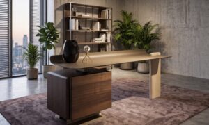 Luna Office Desk